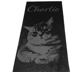 Fotogravur Haustier Eine individuell gestaltete Schieferplatte mit einer Fotogravur einer Katze